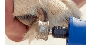 Dremel 416HP Diamond Coated Pet Grooming Accessory