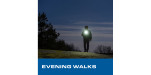 Dremel HSFL-01 Cordless 4V USB Rechargeable Lithium-Ion LED Flashlight